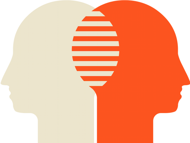 What are the Commitees?